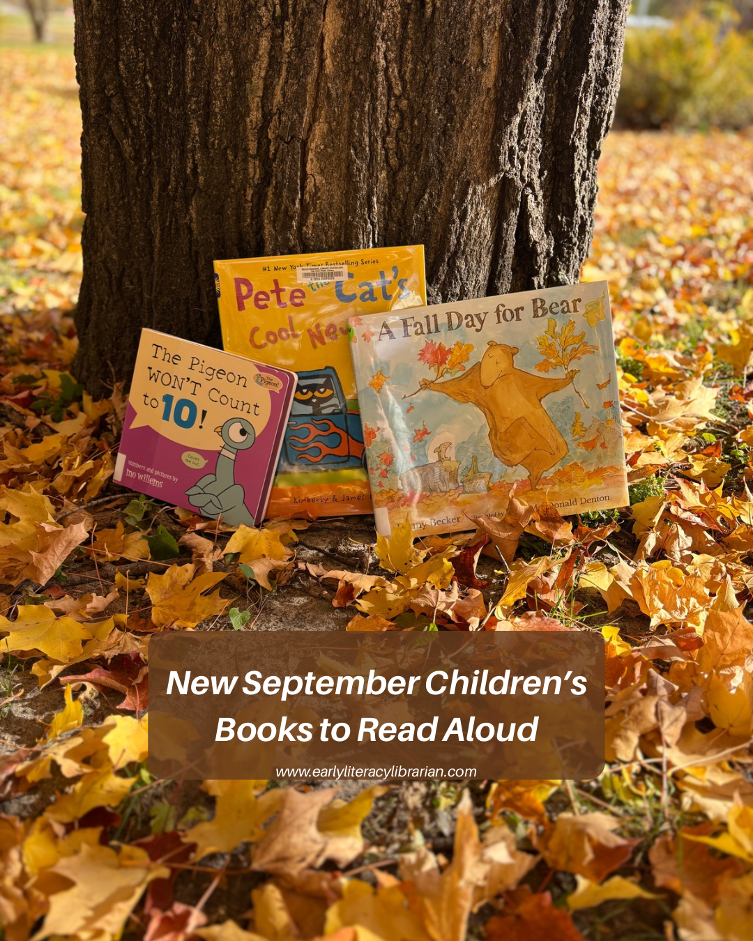 New September 2025 picture book and board book releases. Featuring covers for the pigeon counts to 10, Pete the cat’s cool new ride, and a fall day for bear all resting on a tree trunk surrounded by fall leaves.
